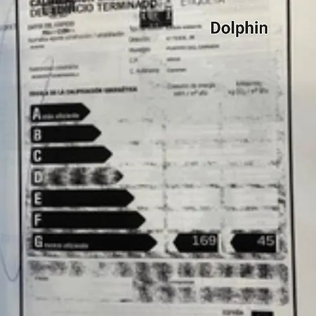Dolphin